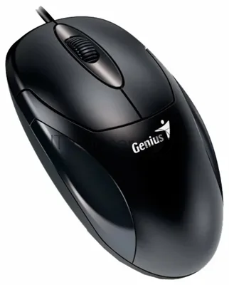 Мышь проводная Genius XScroll V3 черный, 1000 dpi, USB, кнопки - 3
