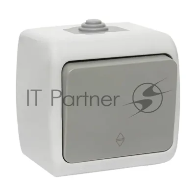 Выключатель проходной EKF Мурманск EFV10-025-30-54 PROxima 1-клавишный 10А IP54 серый