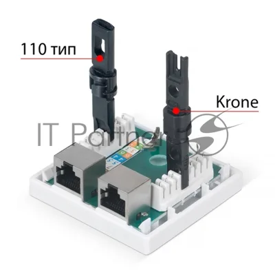 Розетка в сборе Cabeus, 2x RJ45(8P8C), кат. 5е, экр., внешняя, белый, (WS-8P8C-Cat.5e-SH-2)