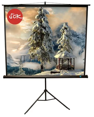 Экран Sakura 200x200 см TriScreen 1:1 напольный рулонный белый 111' Matt White (MW), черный корпус
