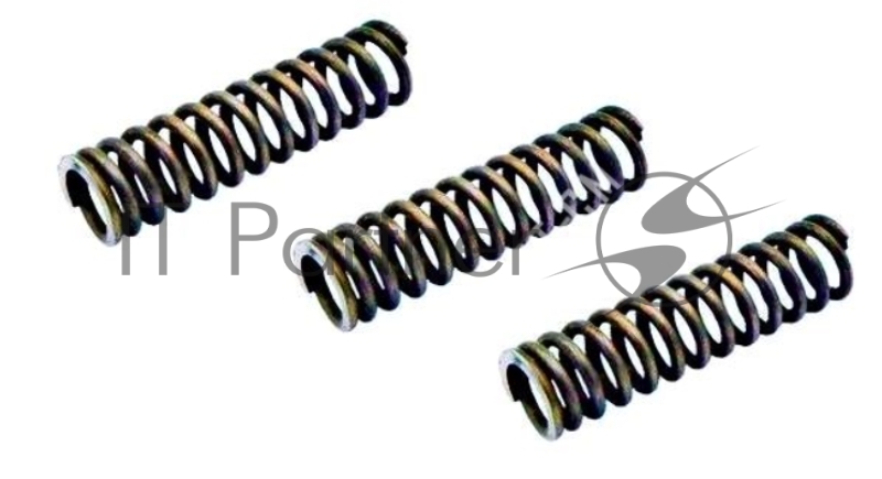 Комплект пружин ЗУ Bosch TCA, Siemens TK Surpresso S