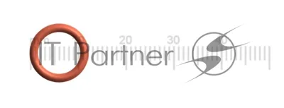 Уплотнитель распределителя пара большой Delonghi