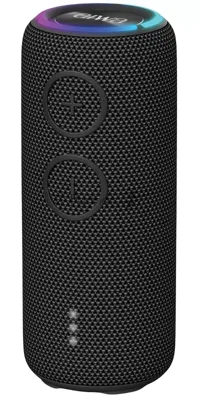 Портативная колонка AIWA PAS-H200 черный
