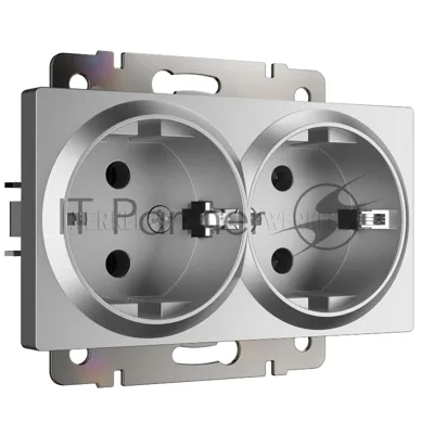 Розетка двойная с заземлением Werkel W1172065 (серебряный матовый)