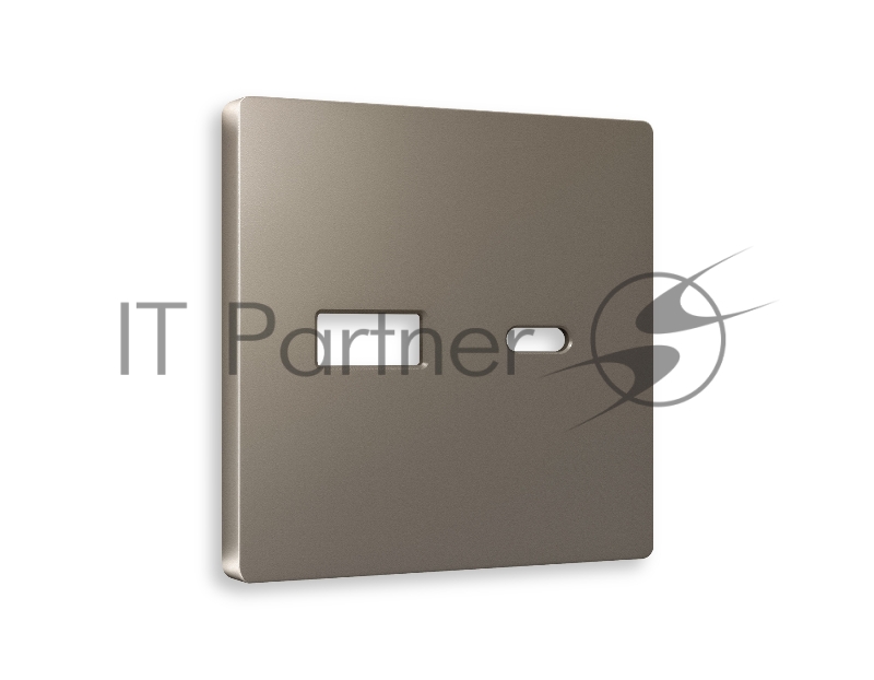 Лицевая панель ALFA (Темная бронза матовый) для розетки 2USB тип A+C QUANT AP6410