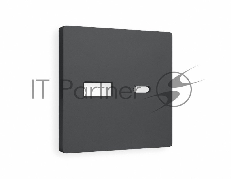Лицевая панель ALFA (Графит Мягкое касание) для розетки 2USB тип A+C QUANT AP9110