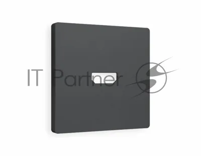 Лицевая панель ALFA (Графит Мягкое касание) для HDMI розетки QUANT AP9140