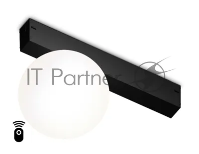 Управляемый светодиодный светильник для шинопровода Magnetic Ambrella light GL1371 BK черный IP20 10W 3000K-6400K 220V 120° D120/232*120*167 (Без ПДУ)