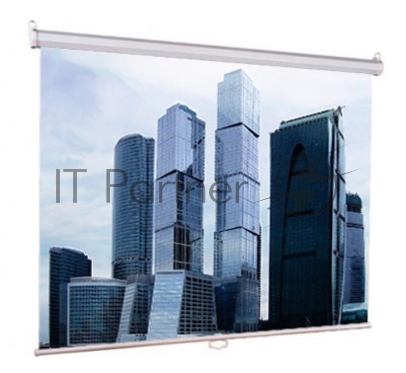 Экраны LUMIEN Eco Picture LEP-100101, 150х150 см, 1:1