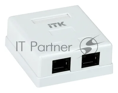 Настенная информационная розетка RJ45 8P8C, кат.5Е UTP, 2-порта, белая 