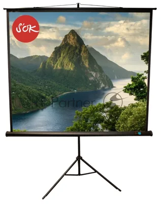 Экран 180x180см TriScreen 1:1 напольный рулонный черный 100'