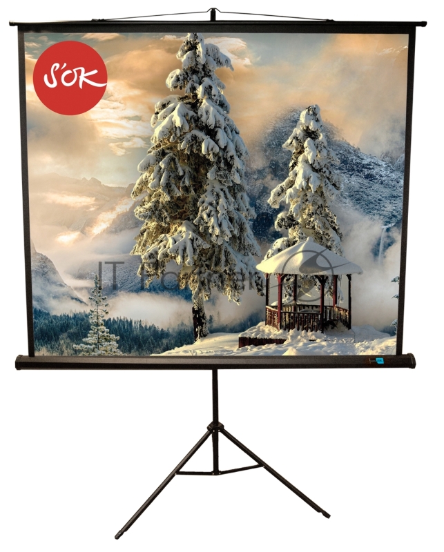 Экран 150x150 см TriScreen 1:1 напольный рулонный белый84' Matt White (MW), черный корпус