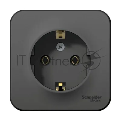 Розетка ОП Blanca 16А 250В без шторок c заземл. изол. пласт. антрацит SchE BLNRA010116